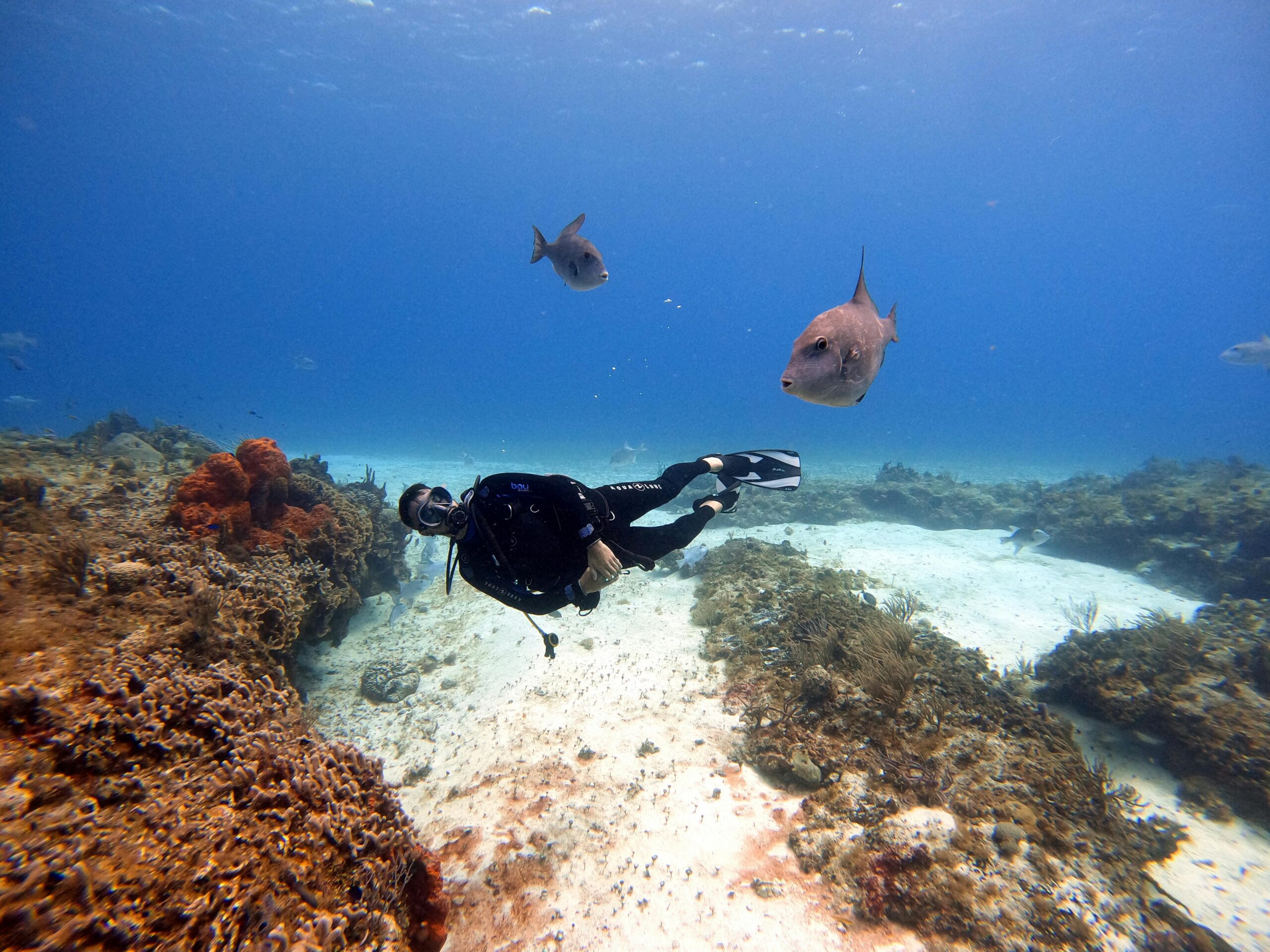 Spring Break 2025 Journey to Cozumel - SCUBA